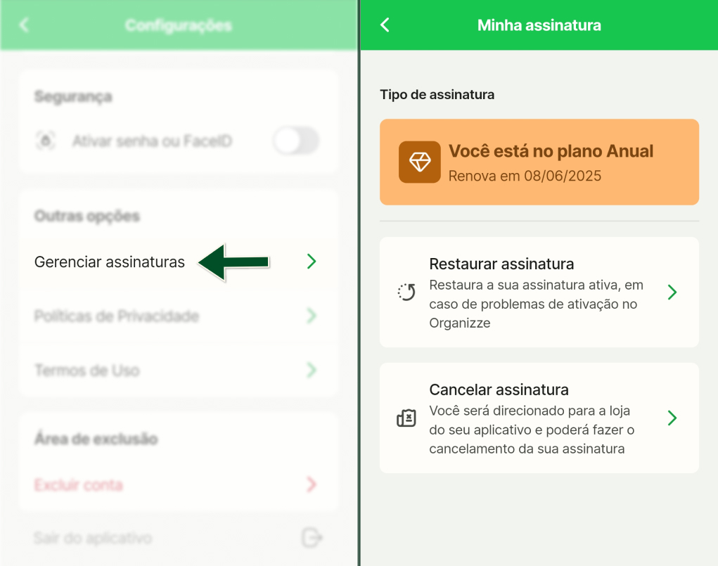 Funcionalidades -  Configurações - Assinatura via App Store - Passos 3 e 4 (1).jpg